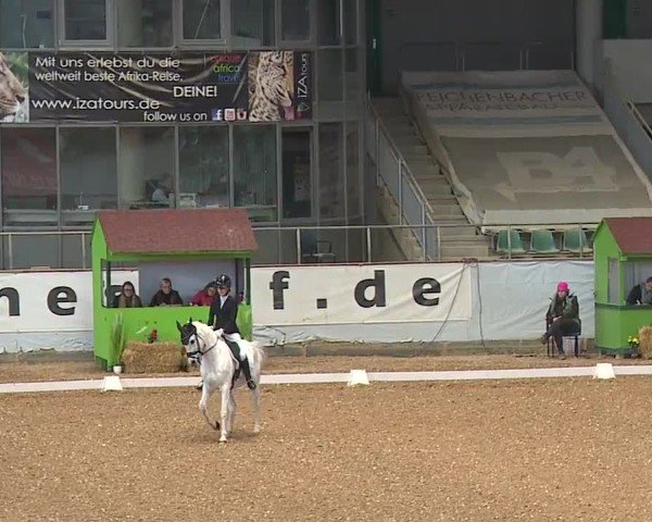 Reitturnier Kreuth/Opf. 2024