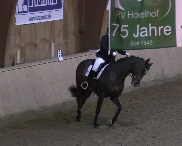 Reitturnier Hövelhof 2024