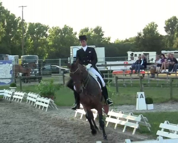 60. Lobbericher Reitsportfestival 01.-04.08.2013