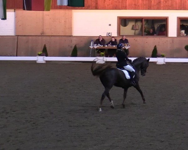 Reitturnier Hövelhof 2024