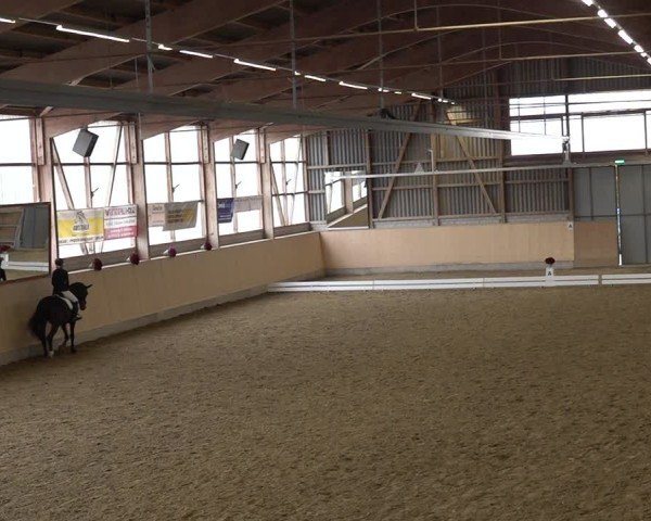 Reitturnier Uster 2024