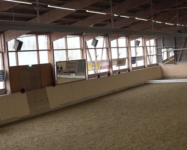Reitturnier Uster 2024