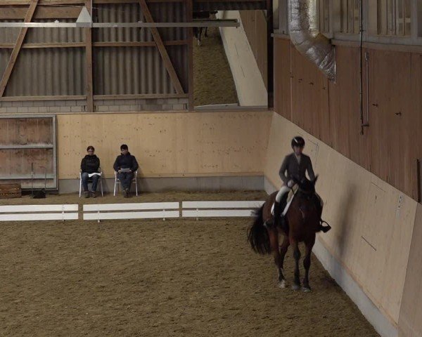 Reitturnier Uster 2024