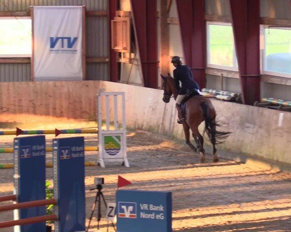 Reitturnier Süderlügum 2024