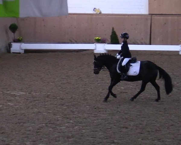 Reitturnier Hövelhof 2024