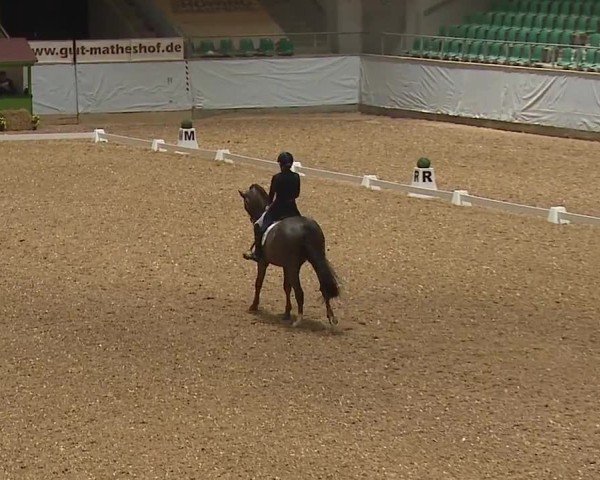 Reitturnier Kreuth/Opf. 2024