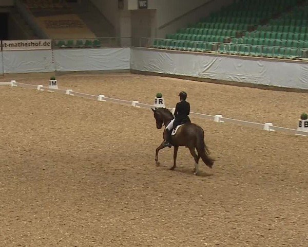 Reitturnier Kreuth/Opf. 2024