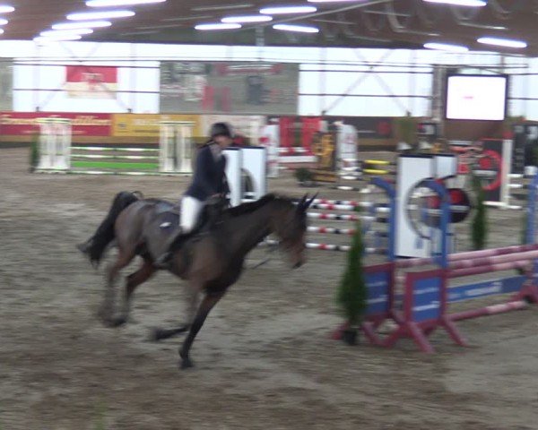 Reitturnier Pausin 2024