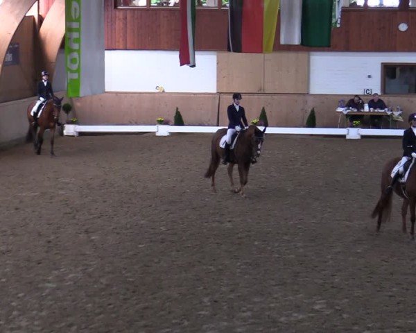 Reitturnier Hövelhof 2024