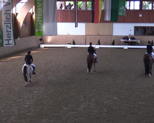 Reitturnier Hövelhof 2024