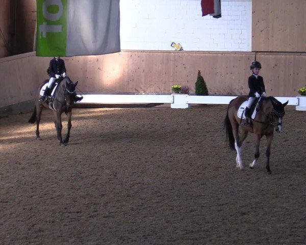 Reitturnier Hövelhof 2024