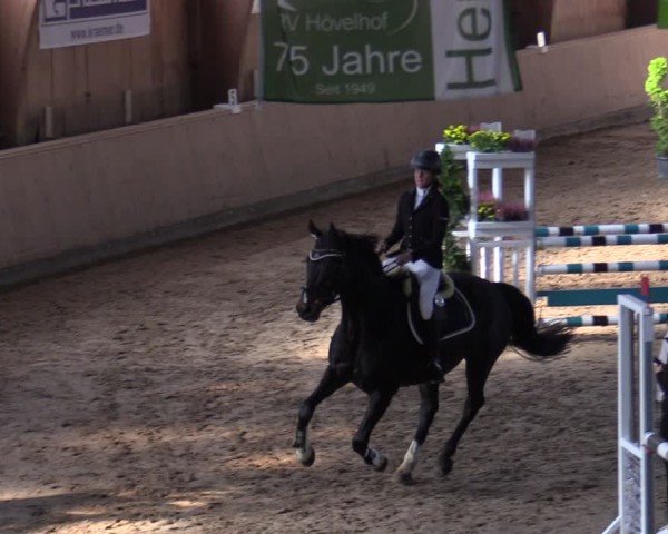 Reitturnier Hövelhof 2024