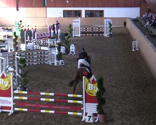 Reitturnier Hövelhof 2024