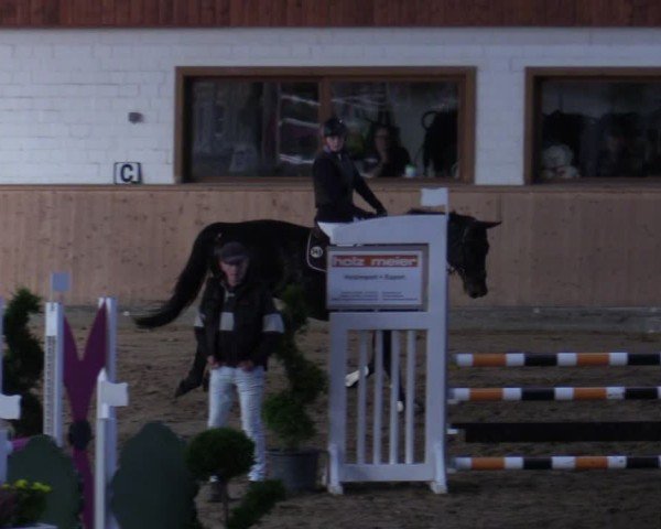 Reitturnier Hövelhof 2024