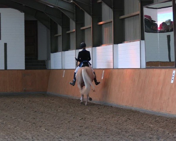 Reitturnier Frechen-Bachem 2024