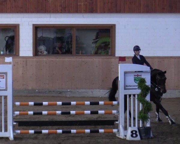 Reitturnier Hövelhof 2024