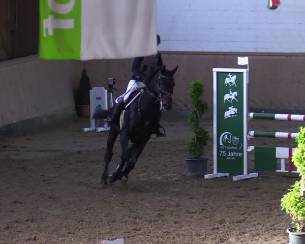 Reitturnier Hövelhof 2024