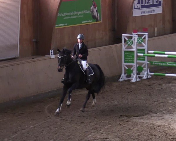 Reitturnier Hövelhof 2024