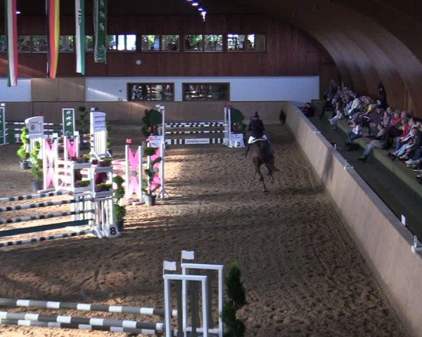 Reitturnier Hövelhof 2024