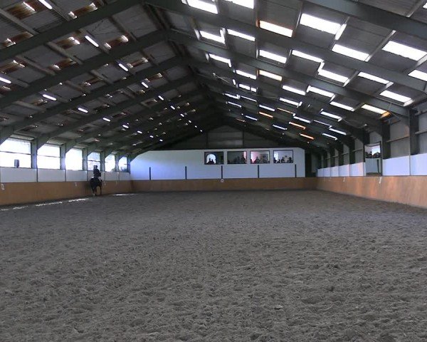 Reitturnier Frechen-Bachem 2024