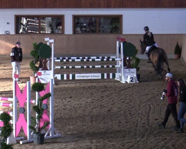 Reitturnier Hövelhof 2024