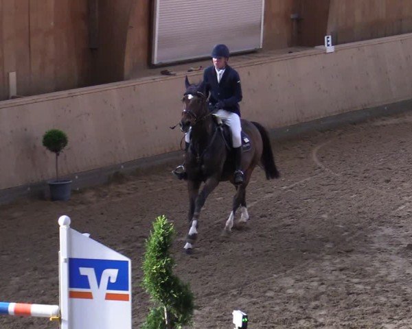 Reitturnier Hövelhof 2024