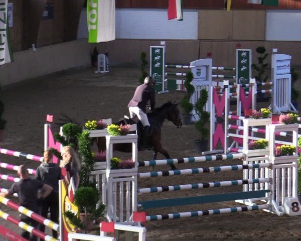 Reitturnier Hövelhof 2024