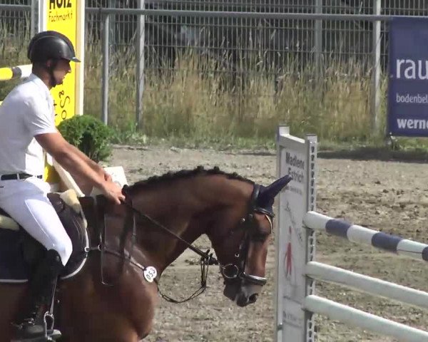 Leutkirch-Haid 2013