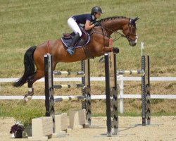 jumper Ludwig IV (Holsteiner, 1999, from Lorado)