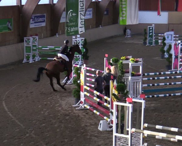 Reitturnier Hövelhof 2024