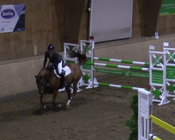 Reitturnier Hövelhof 2024