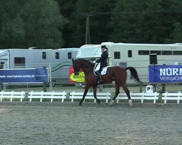 60. Lobbericher Reitsportfestival 01.-04.08.2013