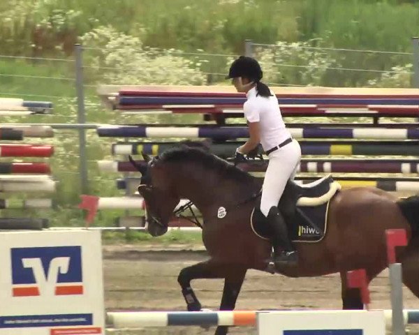 Leutkirch-Haid 2013