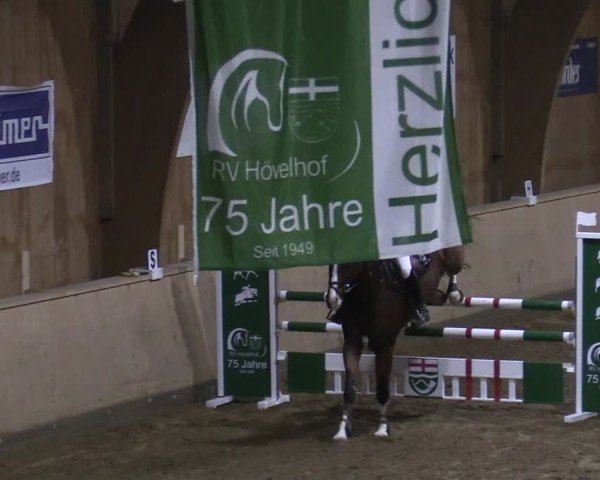 Reitturnier Hövelhof 2024