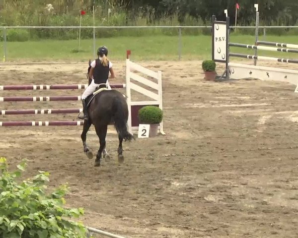 Leutkirch-Haid 2013