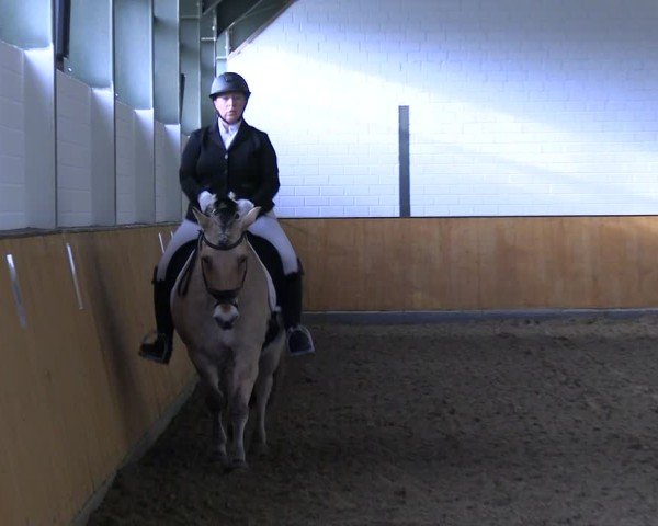 Reitturnier Frechen-Bachem 2024