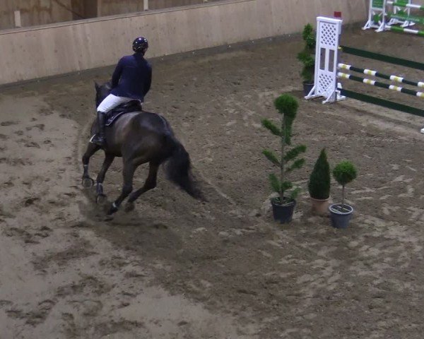 Reitturnier Hövelhof 2024
