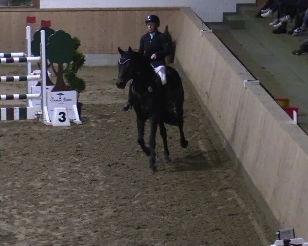 Reitturnier Hövelhof 2024