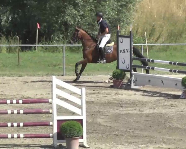 Leutkirch-Haid 2013