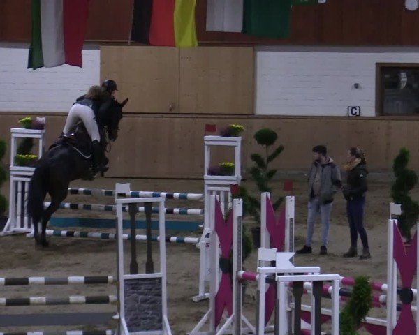 Reitturnier Hövelhof 2024