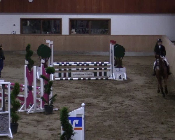 Reitturnier Hövelhof 2024