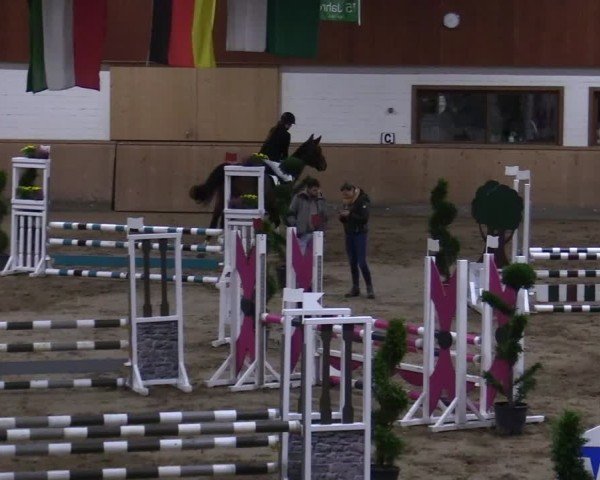 Reitturnier Hövelhof 2024