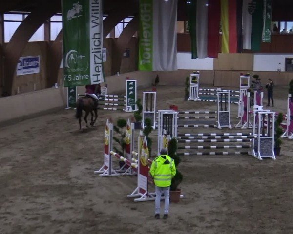 Reitturnier Hövelhof 2024