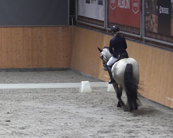 Reitturnier Güstrow/Cavallo Arena  2024