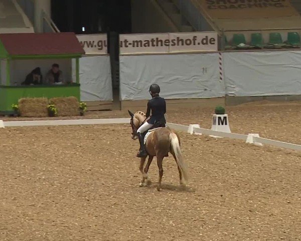 Reitturnier Kreuth/Opf. 2024