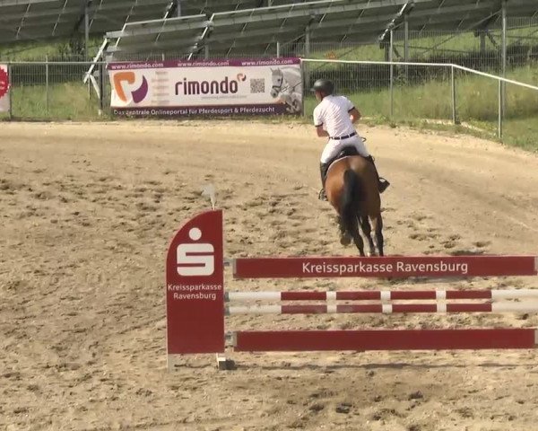 Leutkirch-Haid 2013