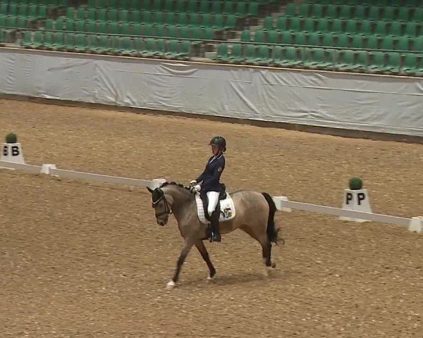 Reitturnier Kreuth/Opf. 2024