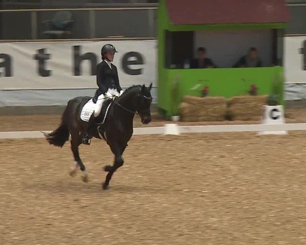 Reitturnier Kreuth/Opf. 2024