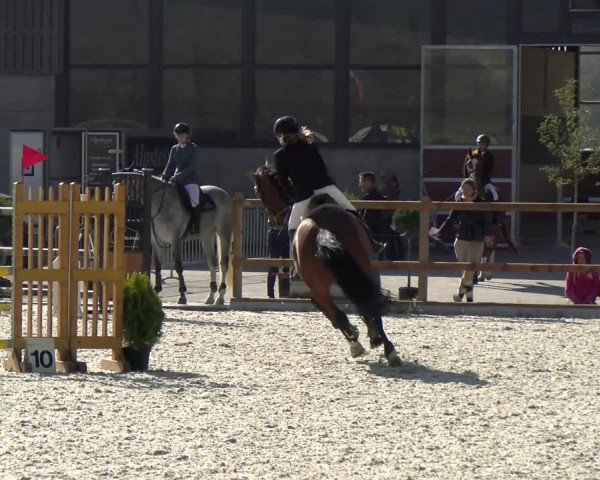 Reitturnier Felsberg 2021