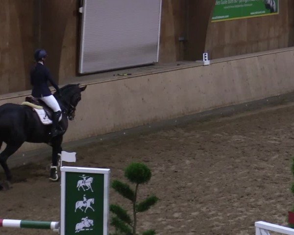 Reitturnier Hövelhof 2024